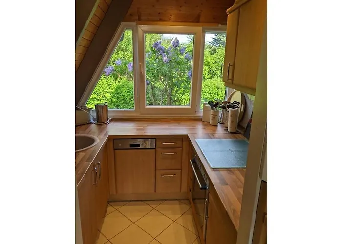 Schmidt Comfortable Vakantiehuis Damp